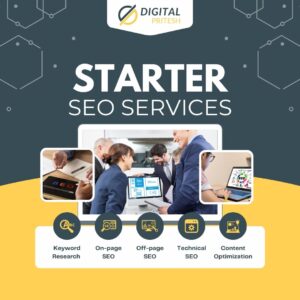 SEO Starter Package | Digital Pritesh