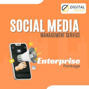 SMM Enterprise Package | Digital Pritesh